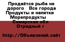 Продаётся рыба не дорого - Все города Продукты и напитки » Морепродукты   . Самарская обл.,Отрадный г.